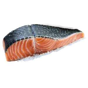 Salmon Fillet On Ice Png Tit1 PNG image