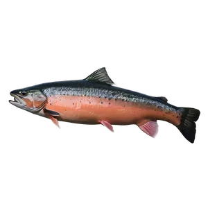 Salmon Fishing Catch Png Cmq21 PNG image