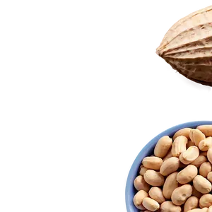 Salted Peanuts Bowl PNG 76 PNG