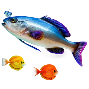 Saltwater Fish Transparent Png Rrr PNG image