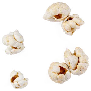Salty Popcorn Kernel PNG 2