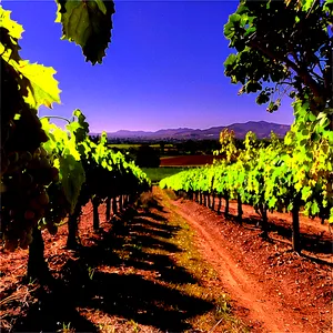 San Jose Vineyards And Wineries Png Oep PNG image