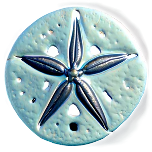 Sand Dollar Close-up Png 27 PNG image