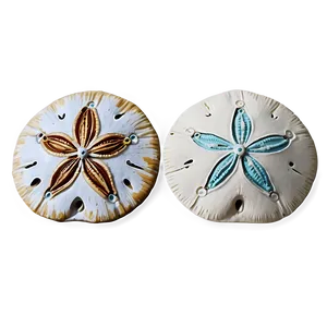 Sand Dollar In Coastal Decor PNG 59