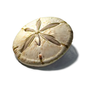 Sand Dollar In Sand Png Mxs52 PNG image