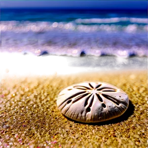Sand Dollar With Ocean Background PNG 95