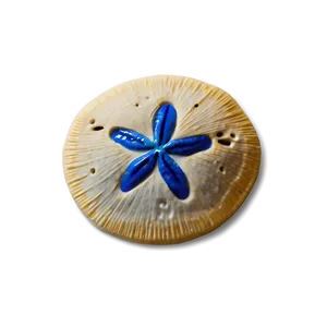 Sand Dollar With Ocean Background PNG Fyi