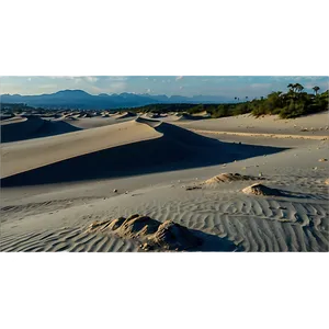 Sand Dunes And Fossil Discoveries PNG Lns PNG