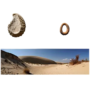Sand Dunes And Fossil Discoveries PNG Uxt PNG