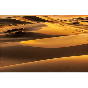 Sand Dunes And Sunset Colors PNG 51