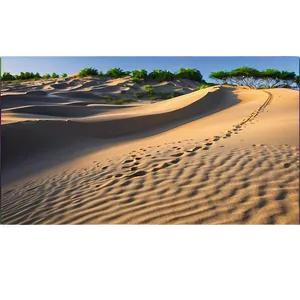 Sand Dunes And Vehicle Tracks PNG Cao13 PNG
