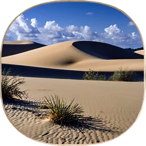 Sand Dunes And Wildlife PNG 06292024