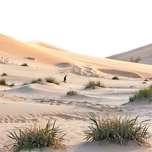 Sand Dunes And Wildlife PNG 73
