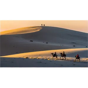 Sand Dunes And Wildlife PNG 94