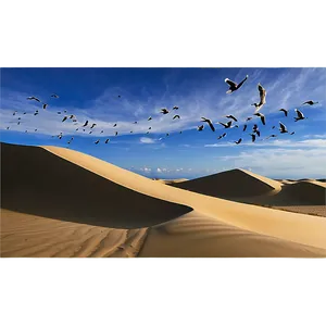 Sand Dunes With Birds Flying PNG 76 PNG
