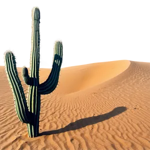 Sand Dunes With Cactus PNG Jkb