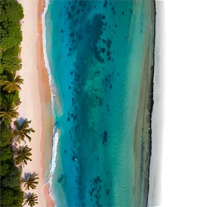Sandy Beach Aerial View PNG 68 PNG