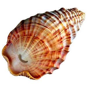 Sandy Beach Conch Shell Png 06132024 PNG image