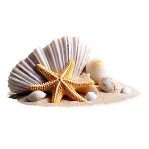 Sandy Beach Starfish And Shells Png 06242024 PNG image