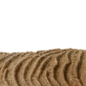 Sandy C PNG