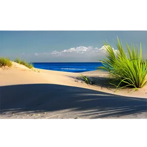 Sandy Coastal Dunes Landscape Png Clv PNG image