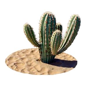 Sandy Desert Cactus PNG Age PNG