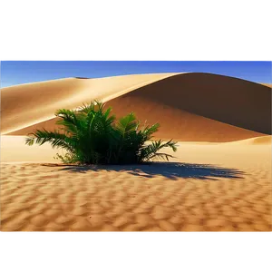 Sandy Desert Oasis PNG Vdo13 PNG