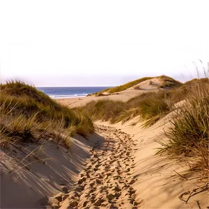 Sandy Path Through Dunes PNG 06242024 PNG