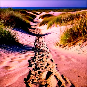 Sandy Path Through Dunes PNG 28