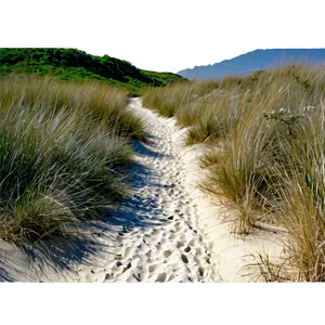 Sandy Path Through Dunes PNG Pkg PNG