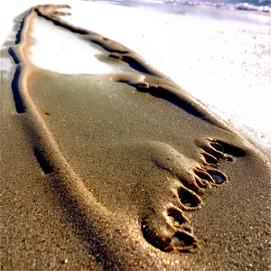 Sandy Shore Crab Tracks PNG 95 PNG