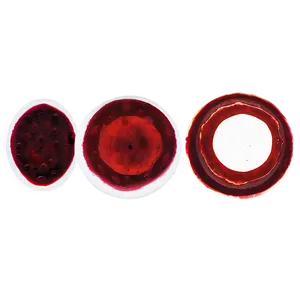 Sanguine Fluid: Blood Smear PNG 83