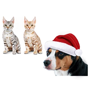 Santa Hat For Pets PNG Dtt PNG