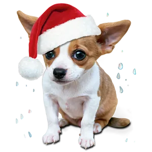 Santa Hat For Pets Png Xmy PNG image