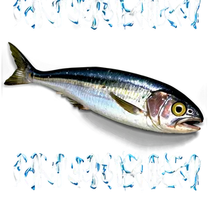 Sardine Can Open PNG Fmd PNG