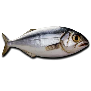Sardine Emoji PNG Tqt11 PNG