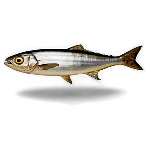 Sardine Emoji PNG Uff40 PNG
