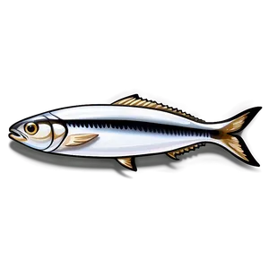 Sardine Icon Png 06292024 PNG image