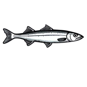 Sardine Outline PNG Nvx43 PNG