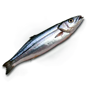 Sardine Packaging PNG 95