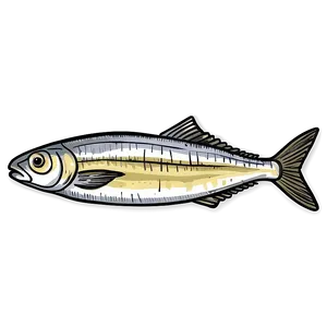 Sardine Sketch Png Ghj PNG image