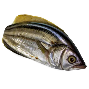 Sardine Spread PNG 29