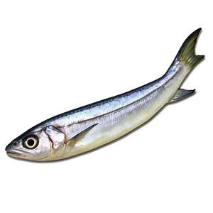 Sardine With Lemon PNG 30 PNG