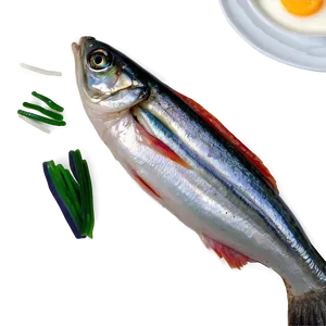 Sardines For Breakfast Png Aog PNG image