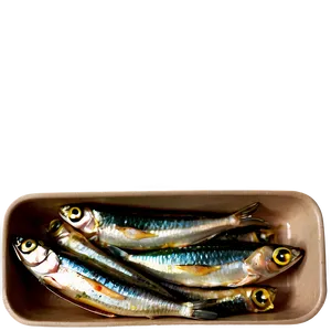 Sardines With Herbs Png Ioy18 PNG image