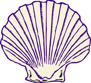 Scallop Shell Illustration