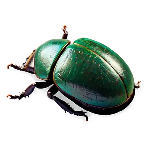 Scarab Beetle Amulet PNG 05242024