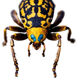 Scary Bug PNG Duw