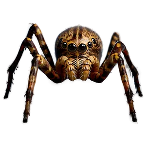 Scary Spider Png 05042024 PNG image