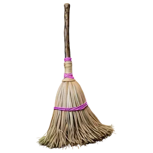 Scary Witches Broom PNG 86 PNG